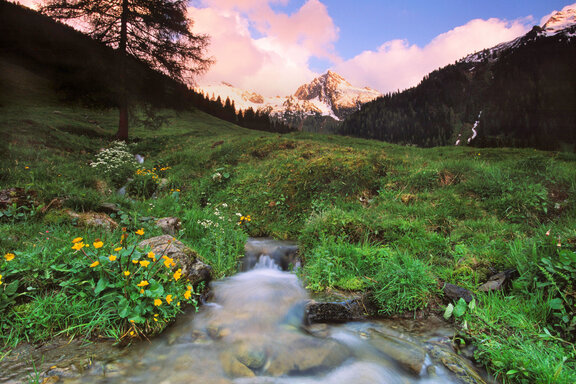 Inneralpbach, Greitergraben  © Alpbachtal Tourismus, Christian Vorhofer