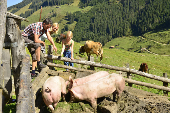 Inneralpbach, Außer-Mareitalm © Alpbachtal Tourismus, Bernhard Berger.