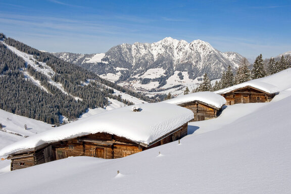 Stettauer Alm in Inneralpbach © Alpbachtal Tourismus, Bernhard Berger.