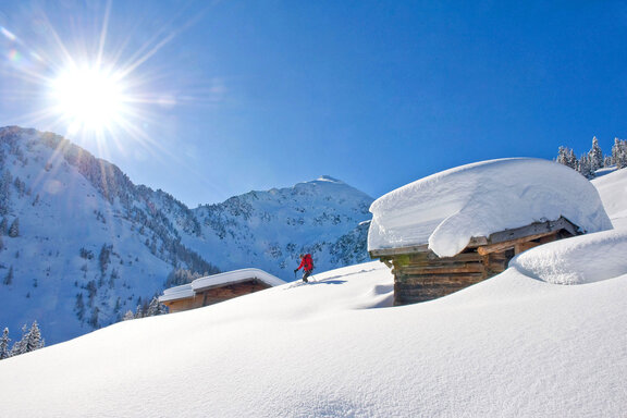 Freeriden in Inneralpbach © Alpbachtal Tourismus, Bernhard Berger.