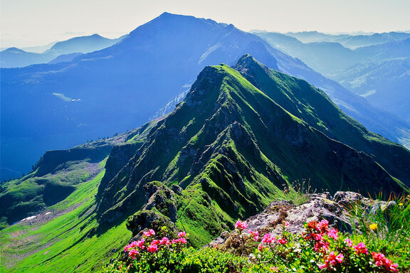 Standkopf und Sagtaler Spitzen © Alpbachtal Tourismus, Bernhard Berger.